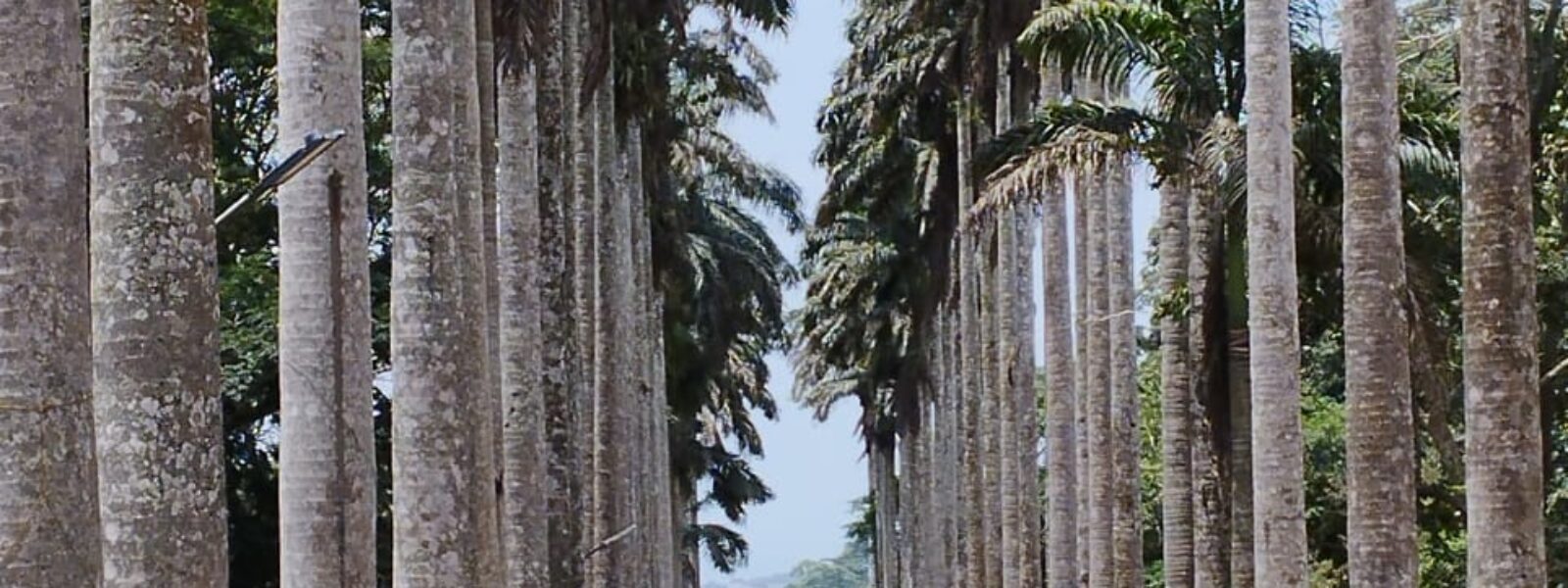 Shai Hills, Aburi And Volta