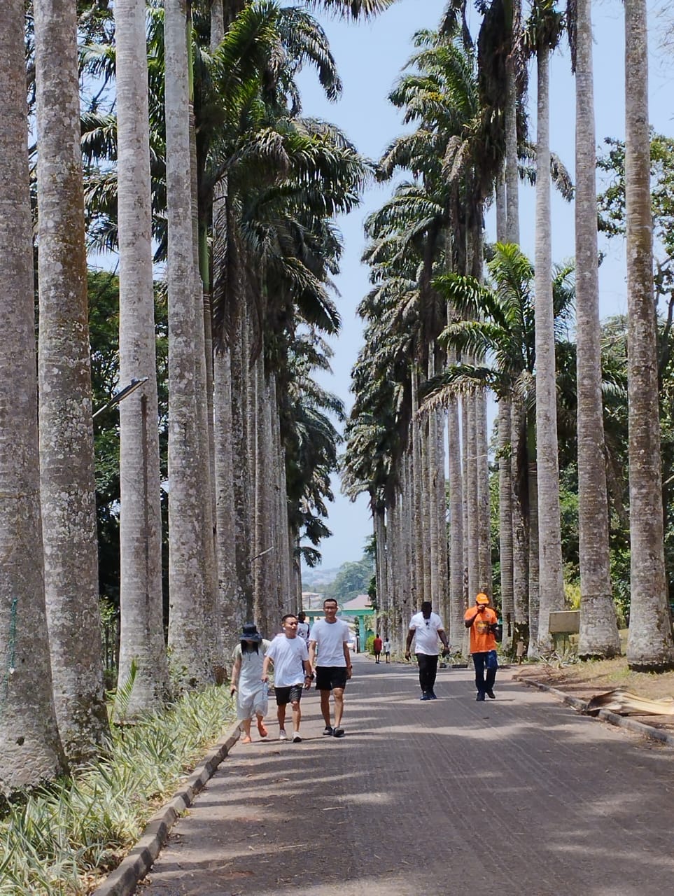 Shai Hills, Aburi And Volta